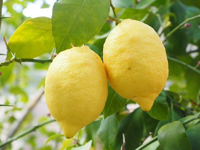 The Master Cleanse: What Is It?
