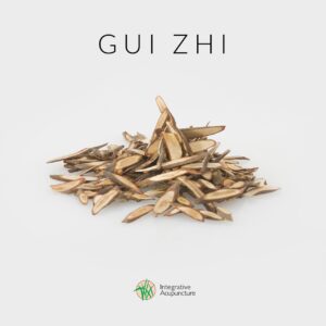 Gui Zhi