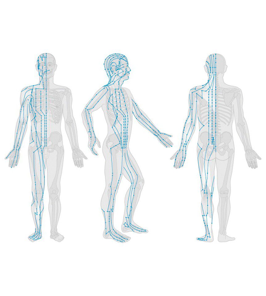 Acupuncture points of drawing of human