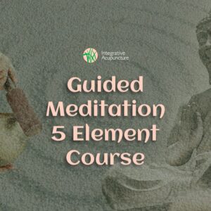 "Guided Meditation 5 Element Course"