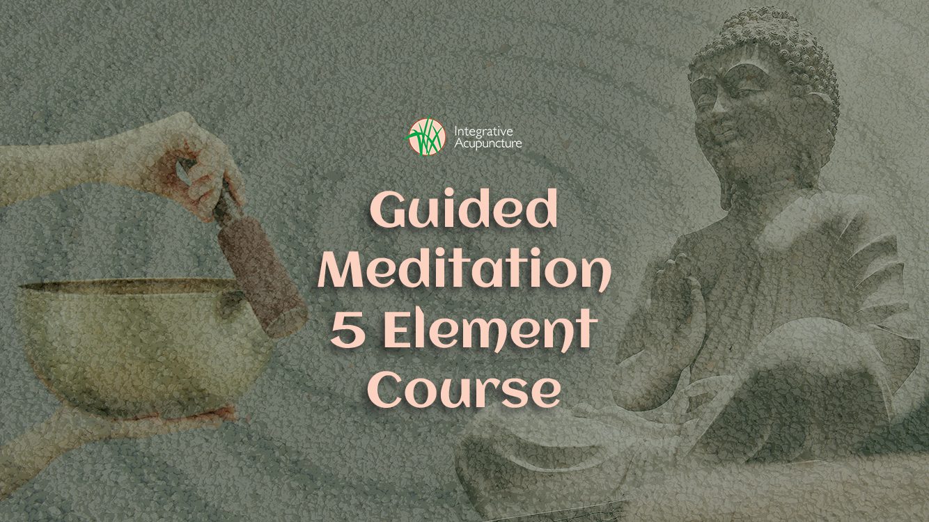 Guided Meditation Video Course - Integrative Acupuncture