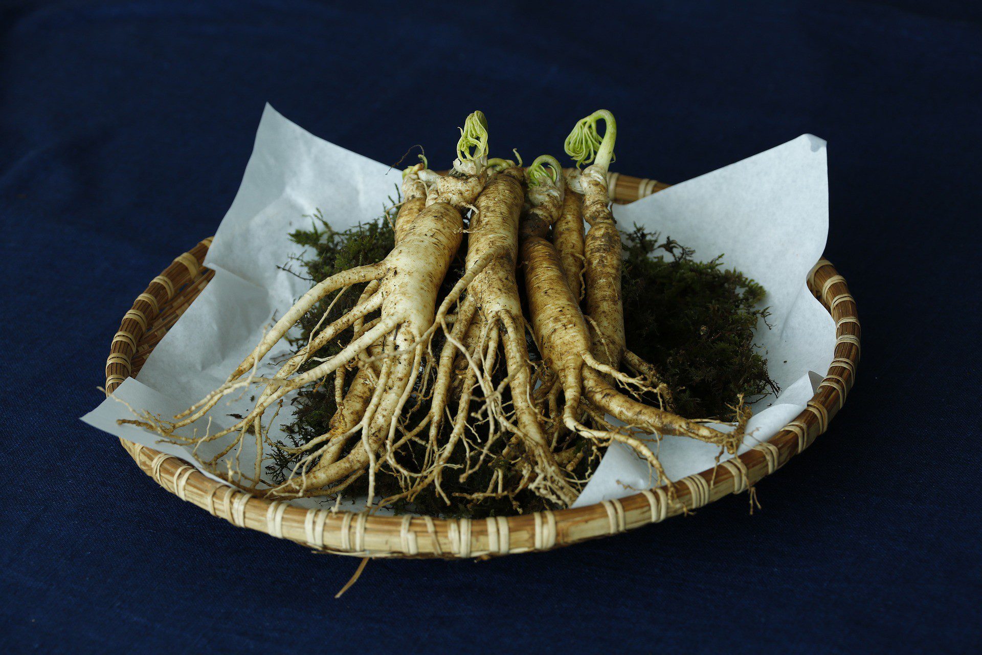 BOOST IT WITH GINSENG