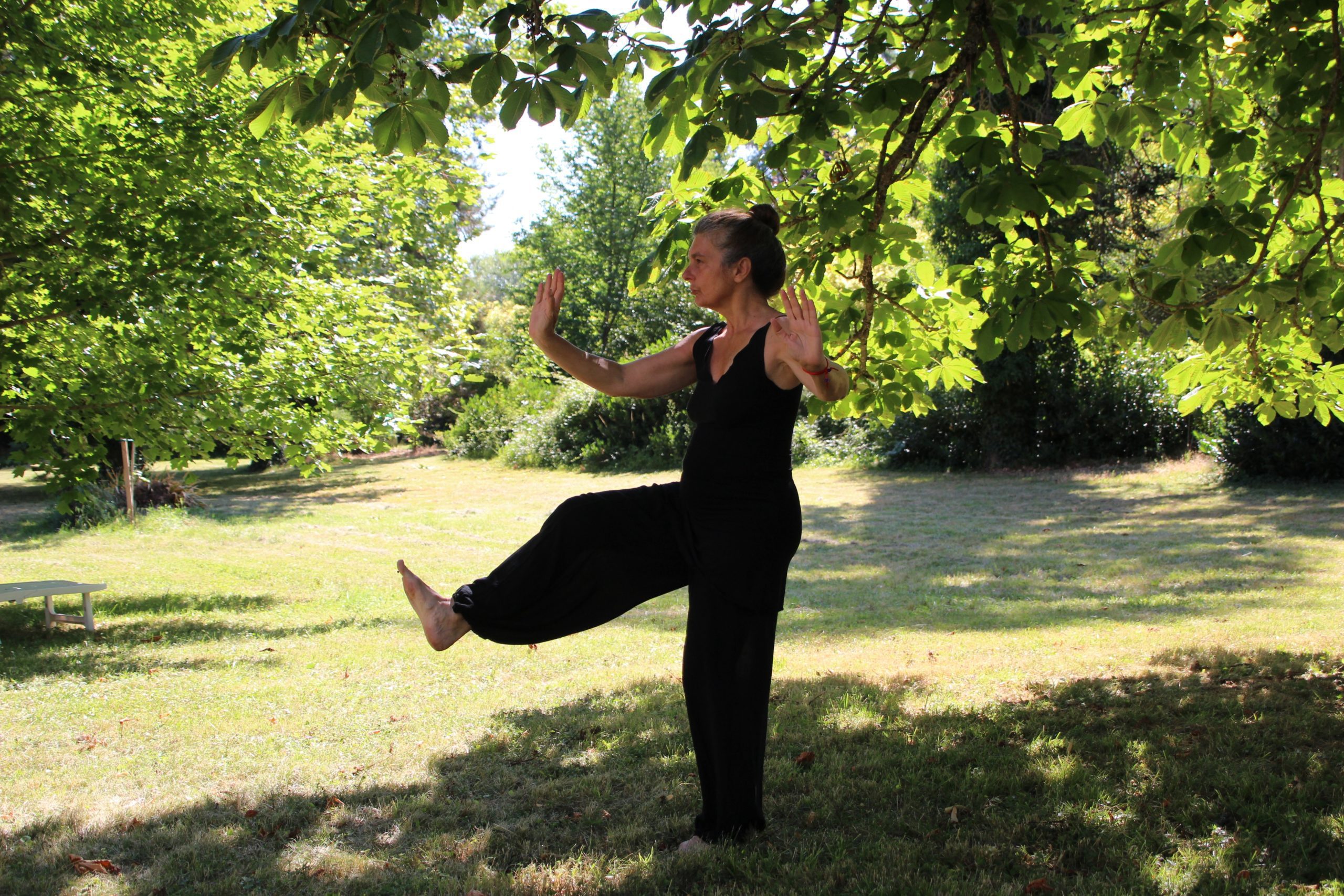 telemedicine tai chi