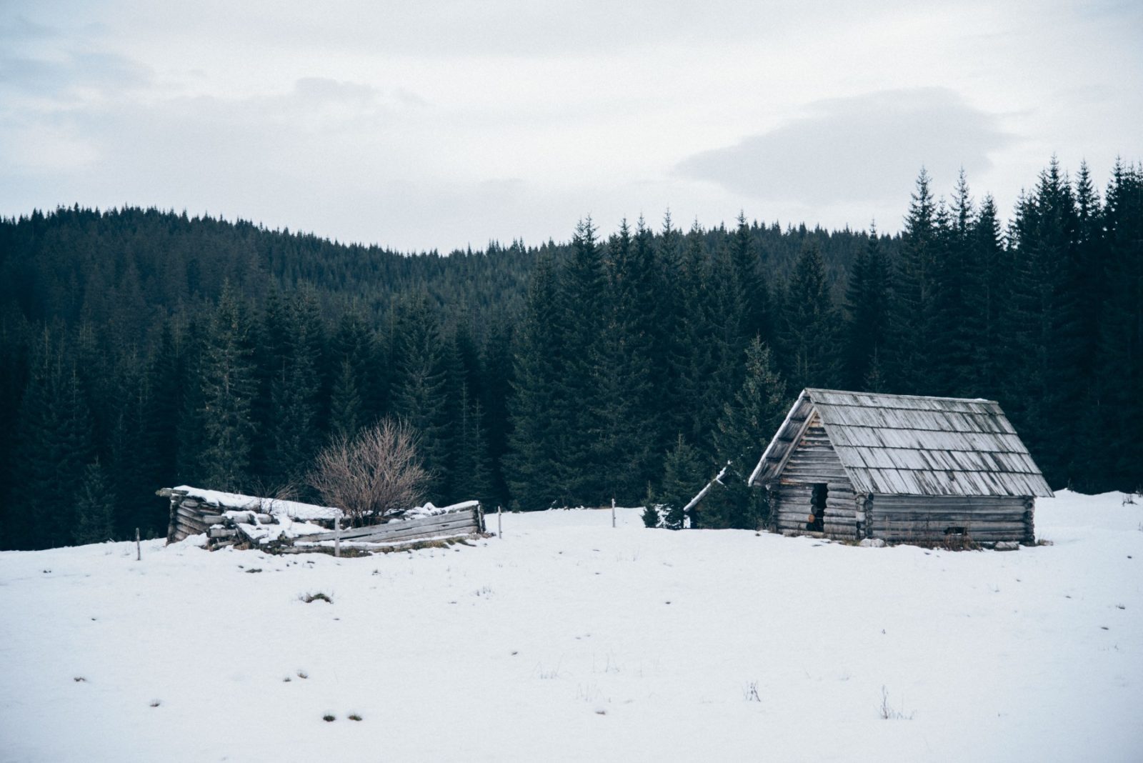How to End SAD, Seasonal Affective Disorder, and Start Loving Winter