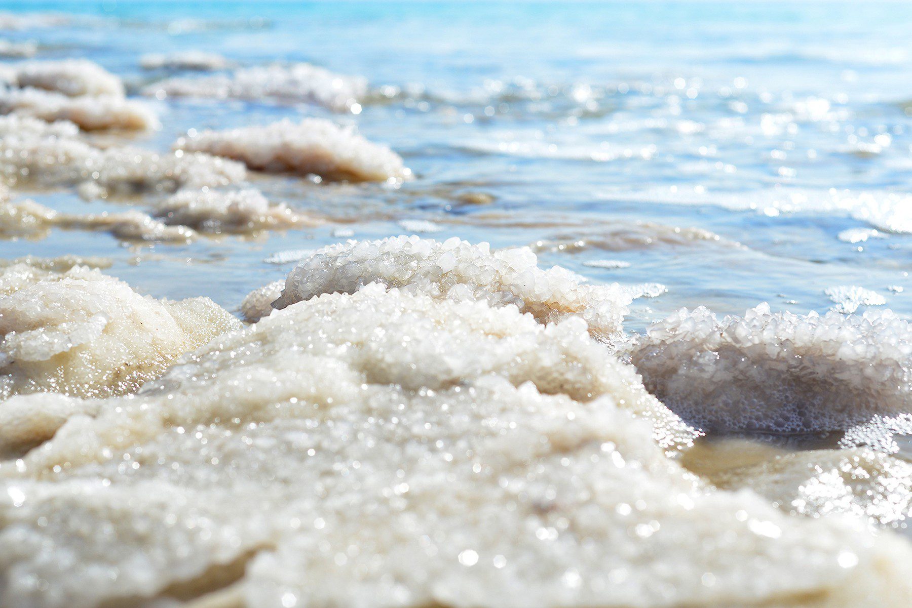 Sea salt buildup in the dead sea. closeup of water and salt