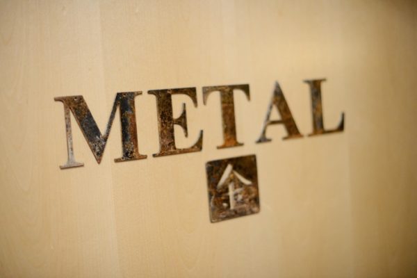 Metal Treatment Room Door